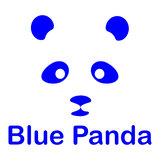 Blue Panda Digital Marketing, Blue Panda, Lincoln