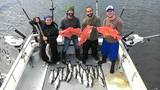 Profile Photos of Alaska Strike Zone Sportfishing