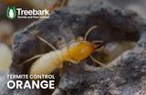 Profile Photos of Treebark Termite and Pest Control Orange