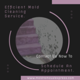 Mold Cleaning Service