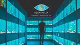 New Album of Aquashella