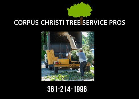  New Album of Corpus Christi Tree Service Pros 2240 N. Padre Island Dr. #8306 - Photo 4 of 4