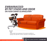 Pet Stain Cleaning Certified, Licensed, Insured - Residential and Commercial , Professional Carpet Cleaning Services,