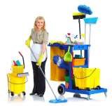 Profile Photos of Cleaning Services Enfield