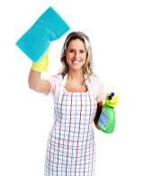 Profile Photos of Cleaning Services Enfield