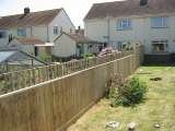 Closeboard fencing with trellis 1st Aid 4 Fencing 177 Frome Road 