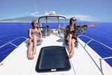 Profile Photos of Sea Monkey Private Charters