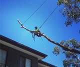 PC Tree Services, Rowville