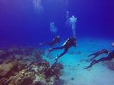 Profile Photos of Koox Diving Cozumel