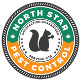  North Star Pest Control 28 Vista Green Cres Brampton on L7A 2S3 