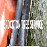  Brockton Tree Co 200 Oak St Unit 6302 