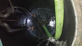 A+ Septic Pumping, Cleaning & Repair of A+ Septic Pumping, Cleaning & Repair