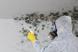 Profile Photos of Water Mold Fire Restoration of Boca Raton