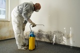 New Album of Mold Removal Experts of Las Vegas