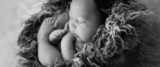  Little Orange Photography -  Maternity Photographer Gold Coast 11 Costelloe St 