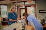 Profile Photos of Brook-Falls Veterinary Hospital & Exotic Care, Inc.