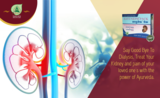 New Album of Get ayurvedic medicine for kidney problems
