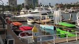 Profile Photos of E Boat Rentals Newport Beach