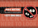 mold busters west island montreal