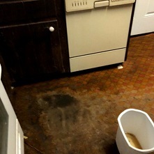  Profile Photos of Water Damage Removal 1902 Whitestone Expy - Photo 2 of 21