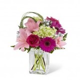 New Album of Same Day Flower Delivery Raleigh NC - Send Flowers