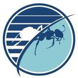 Budget Pest Control, Pittsburgh