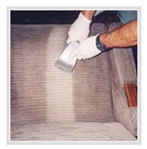  Profile Photos of Carpet Cleaning Los Angeles 1416 1/2 S. Crest Dr - Photo 12 of 15
