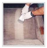 Profile Photos of Carpet Cleaning Los Angeles