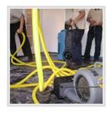 Profile Photos of Carpet Cleaning Los Angeles