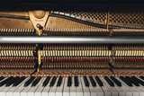 Profile Photos of Piano West London | AMH Pianos
