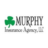  Murphy Insurance Agency 11052 Old Hammond Hwy 
