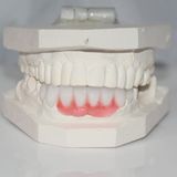 Profile Photos of Dental Crowns Lab Newark