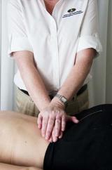 Profile Photos of Wellers Hill Physiotherapy