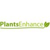 Plants Enhance On Line Ltd, Highbridge