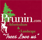 Prunin Arboriculture and Landscapes, Laguna Woods