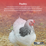 poultry pharmaceutical products
