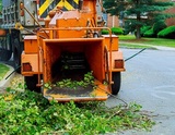 Profile Photos of Abbotsford Tree Services