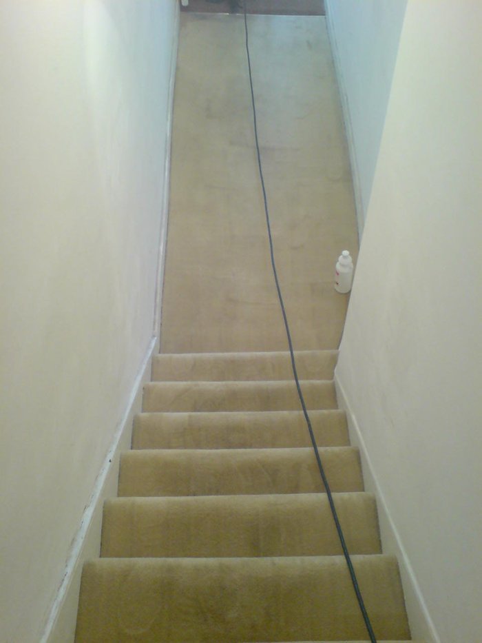  Profile Photos of RQC Carpet Cleaners London 58 Hatley Close - Photo 7 of 9