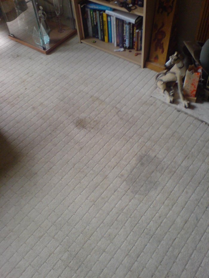  Profile Photos of RQC Carpet Cleaners London 58 Hatley Close - Photo 8 of 9