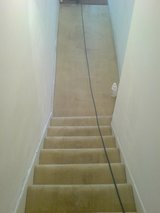 Profile Photos of RQC Carpet Cleaners London
