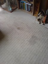  RQC Carpet Cleaners London 58 Hatley Close 