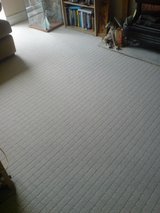  RQC Carpet Cleaners London 58 Hatley Close 