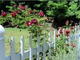 AAA-Fence-Master-Fence-White-Fence AAA Fence Master of League City 835 League City Pkwy 