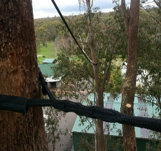 Tree Pruning Macedon Ranges New Album of A & P Tree Services PO Box 642 - Photo 2 of 2