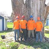  Wildcat Creek Tree Service 3007 N 900 E 