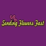  Sending Flowers Fast 687 West Mackinac Dr. Apt B1 