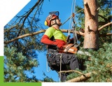 Profile Photos of Canberra Tree Lopping