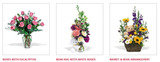 Profile Photos of Flower Delivery 4 All