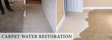New Album of Squeaky Green Clean Water Damage Restoration Melbourne