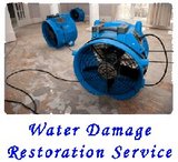 New Album of Squeaky Green Clean Water Damage Restoration Melbourne